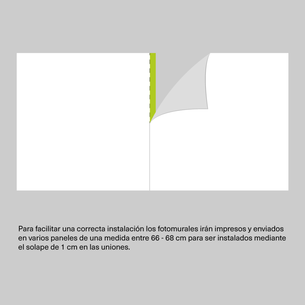 Vinilo decorativo Ciénaga | Fotomural