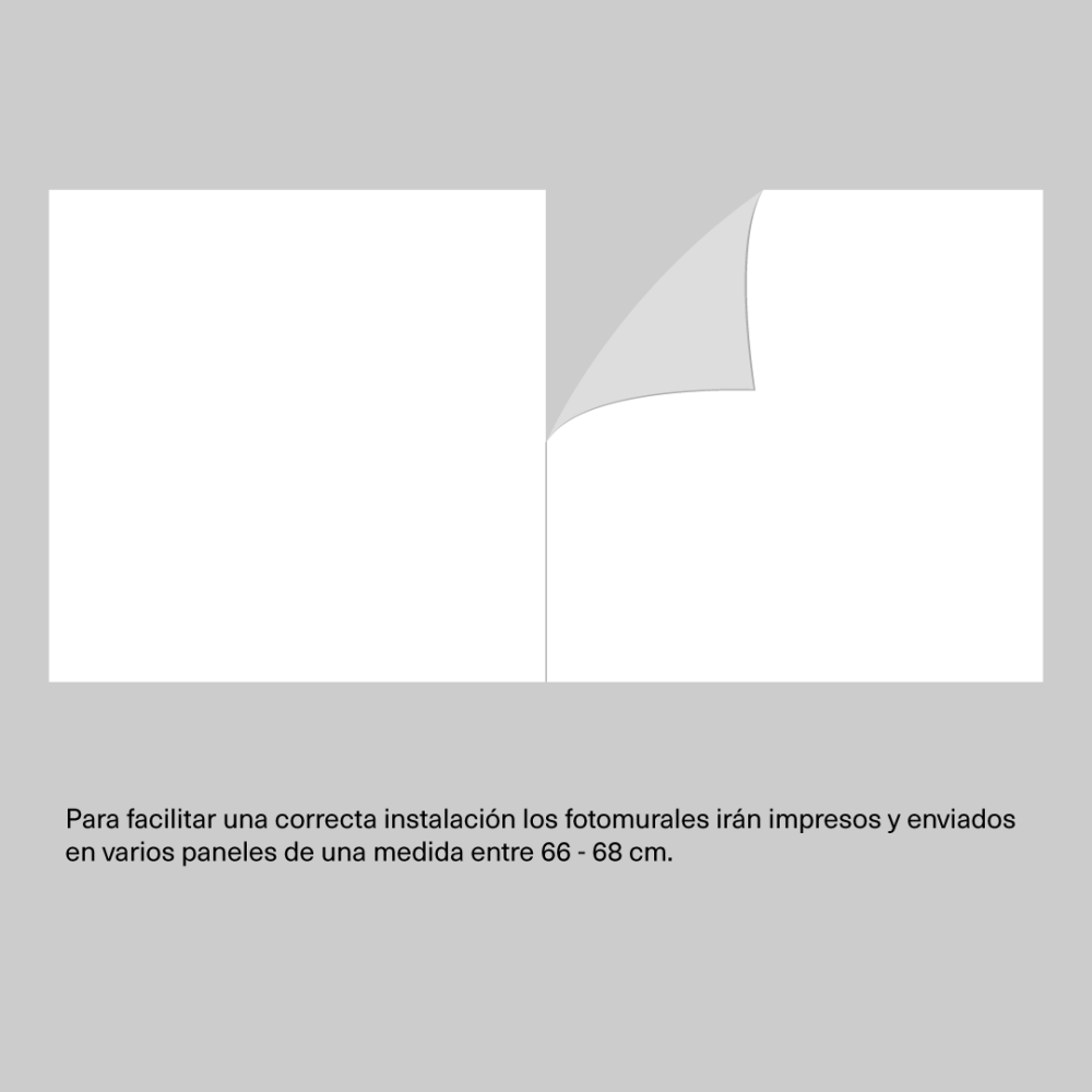 Páramo | Translucido