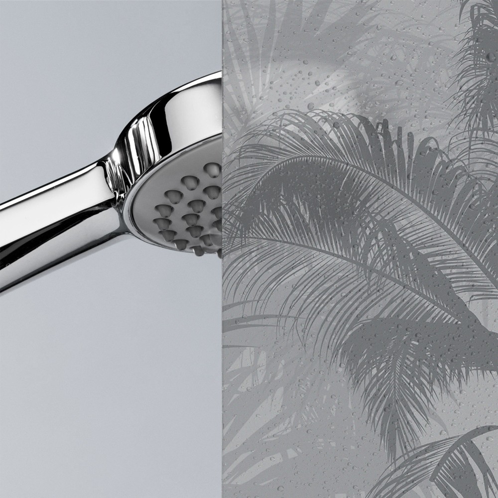 Páramo | Translucido