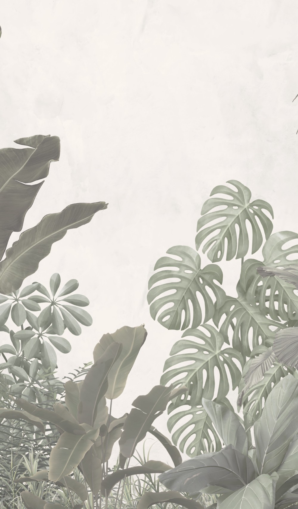 Vinilo decorativo Céfiro fotomural