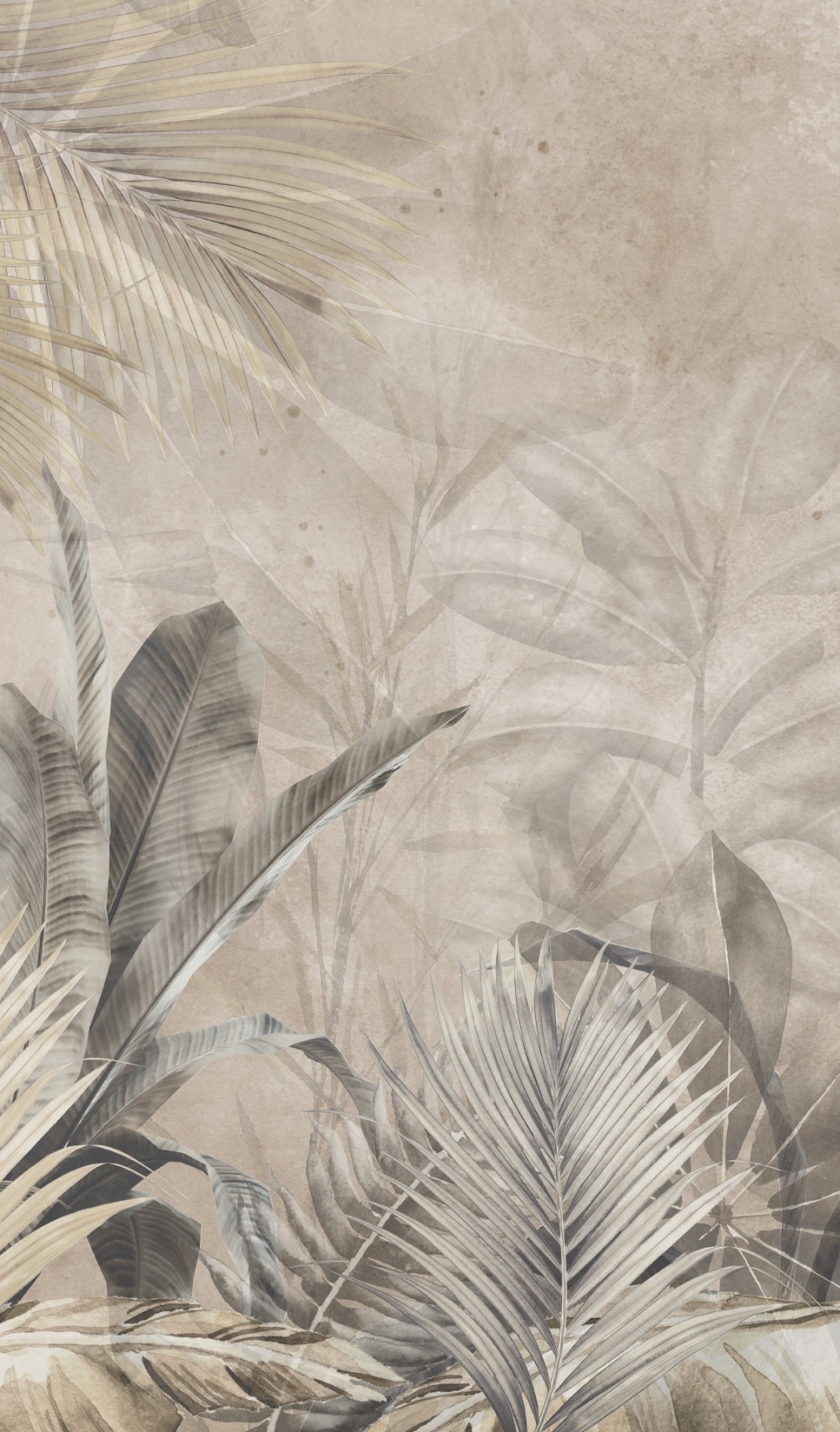 Vinilo decorativo Musgo | Fotomural